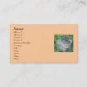 Bébé Carte de visite de marmotte/boisé (Devant)