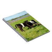 Bébé ceint Galloway Calves, Carnet (Côté Droit)