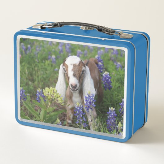 Bébé Chèvre Lunchbox (Dos)