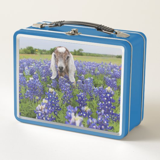 Bébé Chèvre Lunchbox (Devant)