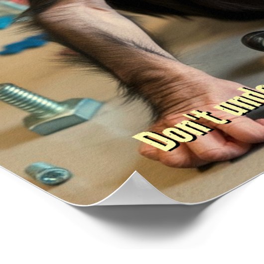 Bébé Chimpanzé affiche "Bungle" imprimé drôle (Coin)