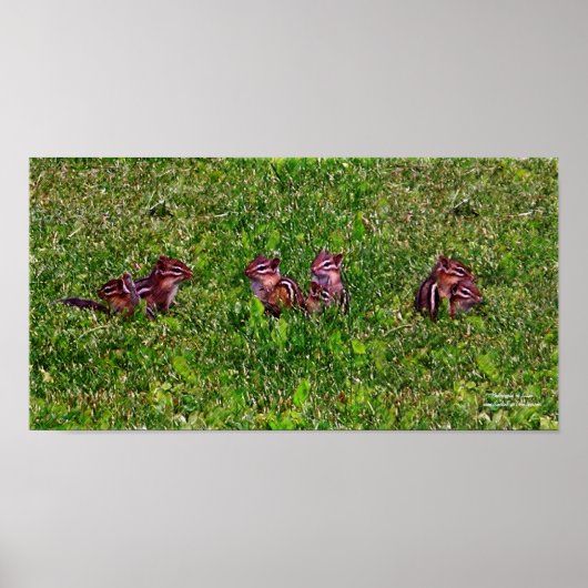 Bébé Chipmunks Collage 1 Animal Pencil Art Poster (Devant)