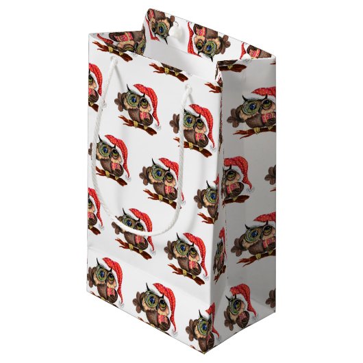 Bébé Chouette En Sac Cadeau Casquette de Noël (Devant Angle)