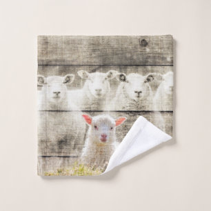 Bébé d'agneau à mouton russe