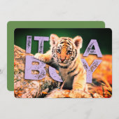 Bébé de Nick David - invitation de douche de tigre (Devant / Derrière)