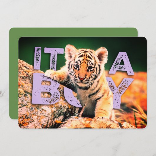 Bébé de Nick David - invitation de douche de tigre (Devant / Derrière)