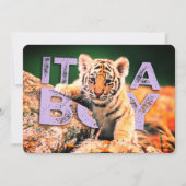 Bébé de Nick David - invitation de douche de tigre (Devant)