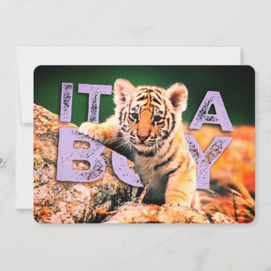 Bébé de Nick David - invitation de douche de tigre (Devant)