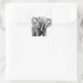 Bébé Eléphant Africain Sticker (Sac)