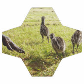 Bébé Emu Chicks Et Big Foot, (Plat)