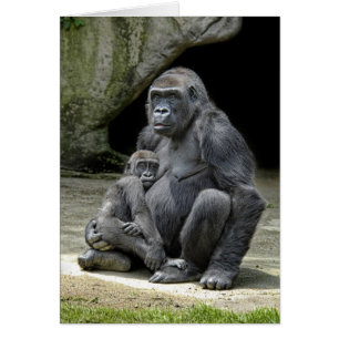 Bébé et maman de gorille