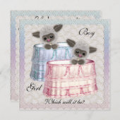 Bébé Genre Reveal Party Invitation (Devant / Derrière)