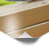 Bébé Grange hirondelle Nature Oiseau Photographie (Coin)