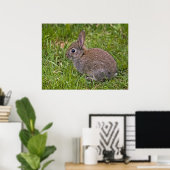 Bébé Lapin Impression (Bureau à domicile)
