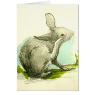 Bébé Lapin Qui Écrache Son Oreille