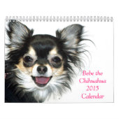 Bebe le calendrier du chiwawa 2015 (Protection)