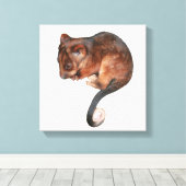 Bébé mignon Singtail Possum toile Imprimer (Insitu (Plancher de Bois))