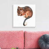 Bébé mignon Singtail Possum toile Imprimer (Insitu(Salon))