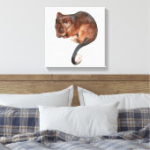 Bébé mignon Singtail Possum toile Imprimer (Insitu(Chambre))