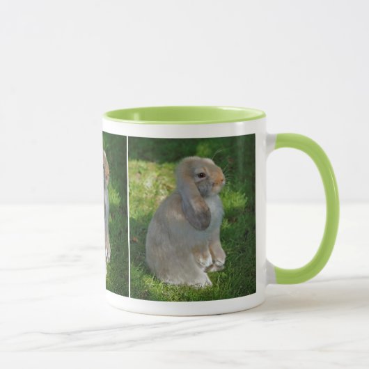Bébé Minilop Rabbit Mug (Droite)