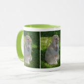 Bébé Minilop Rabbit Mug (Devant gauche)