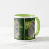 Bébé Minilop Rabbit Mug (Devant droit)