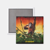 Bébé Orangoutan & Jungle Wildlife Art Magnet (Recto/Verso)