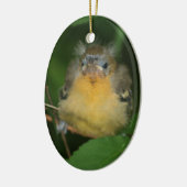 Bébé Oriole Oiseau Ornement animal (Gauche)