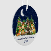 Bébé Première forêt de Noël Animaux Lumières Ciel (devant)