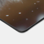 Bébé Raccoons se blottit dans la neige tombante (Coin)