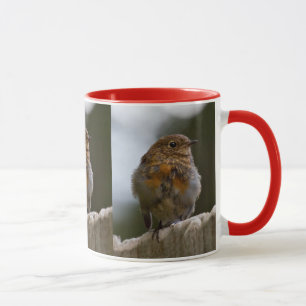 Bébé Robin Mug