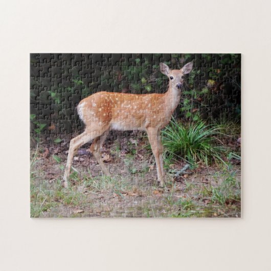 Bébé sauvage Cerf Nature Animal Fawn Puzzle (Horizontal)