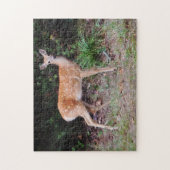 Bébé sauvage Cerf Nature Animal Fawn Puzzle (Vertical)