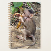Bébé singe (Devant)