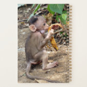 Bébé singe (Dos)