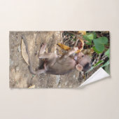 Bébé singe (Serviette à main)