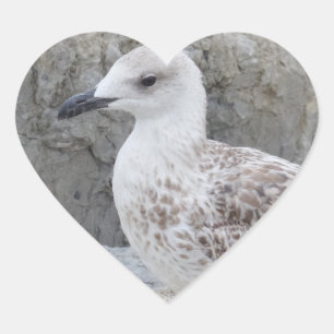 Bébé Sticker Coeur Seagull