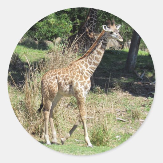 Bébé Stickers Giraffe (Devant)