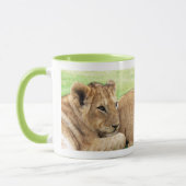 Bébé Tiger tasses (Gauche)