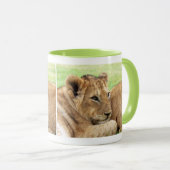 Bébé Tiger tasses (Devant droit)