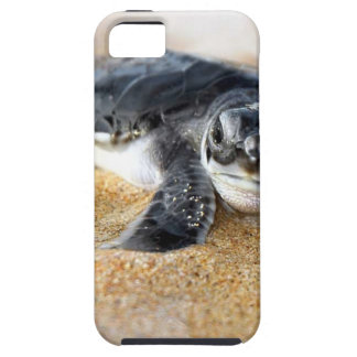 bébé-tortue. coque iphone