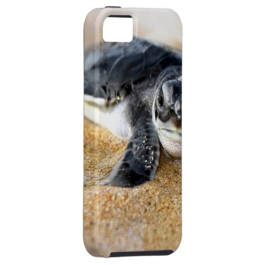 bébé-tortue. coque iphone (Dos/Droit)