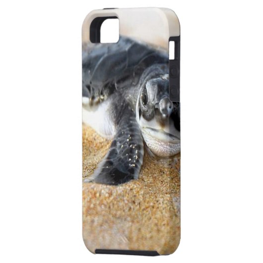 bébé-tortue. coque iphone (Dos gauche)