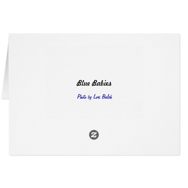 Bébés bleus (Dos Horizontal)