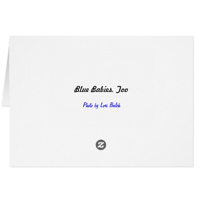 Bébés bleus, trop (Dos Horizontal)