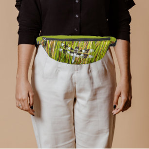 Bécasseau blanc commun