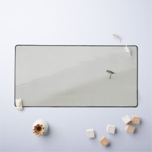 Bécasseau côtier sur la plage