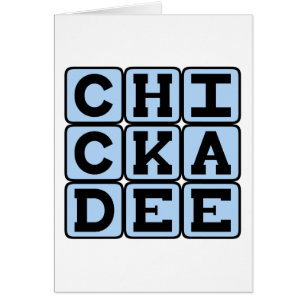 Bécasseau, oiseau nord-américain