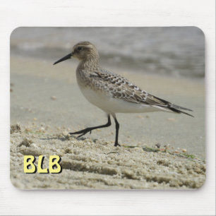 Bécasseau sur la plage votre tapis de souris initi