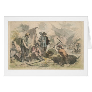 Bêcheurs d'or de la Californie (2525A)